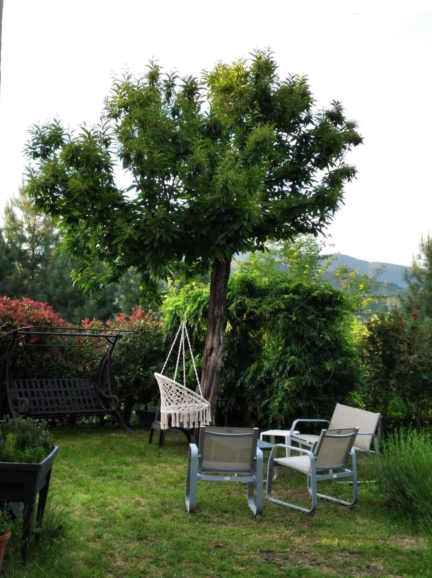 Appartement Le Ptit Crouzon à Prades  Extérieur photo